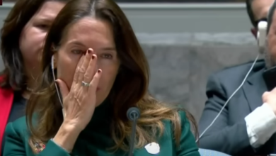 صورة فيديو.. رئيسة مجلس الأمن الدولي تبكي تأثرا خلال كلمة مندوب فلسطين