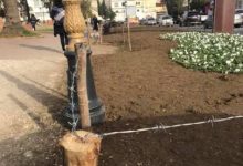 صورة عريضة تطالب مجلس مدينة طنجة بمنع تسييج الحدائق العمومية بالأسلاك الشائكة