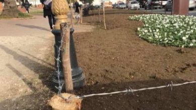 صورة عريضة تطالب مجلس مدينة طنجة بمنع تسييج الحدائق العمومية بالأسلاك الشائكة