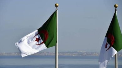 صورة الجزائر تعلن تقديم 15 مليون دولار لصالح الأونروا