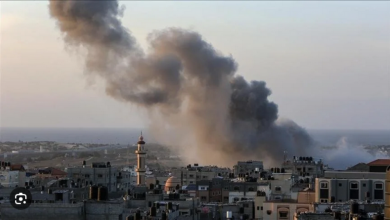 صورة مقررة أممية: يجب تنفيذ قرار مجلس الأمن لوقف إطلاق النار في غزة