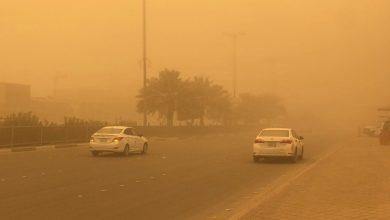 صورة «الأرصاد»: استمرار الأتربة المثارة على مدينة الرياض يتخللها أمطار خفيفة