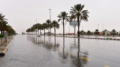 صورة وتيرة هطول الأمطار ستزداد في جميع أنحاء المملكة