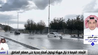 صورة محلل طقس: الفرصة مهيأة لهطول أمطار على معظم مناطق المملكة لنهاية أبريل