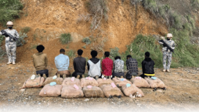 صورة القبض على 8 مخالفين لنظام أمن الحدود لتهريبهم 160 كيلوجرامًا من القات بجازان