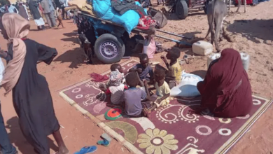 صورة الحصاد المر.. الحرب في السودان بين دعوات التخريب ودبلوماسية العقل العربي