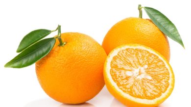 صورة لن تصدقي.. هذا ما يفعله زيت بذور البرتقال ببشرتك