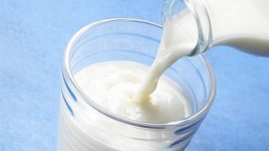 صورة لاتفوتك.. طرق فعالة لحفظ الحليب لأطول فترة في فصل الصيف