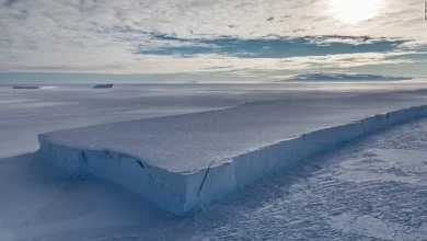 صورة القطب الجنوبي يسجل أكبر قفزة في درجات الحرارة