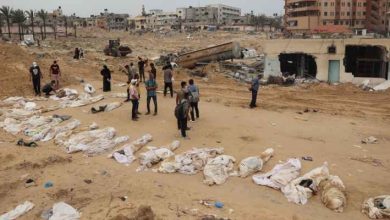 صورة في اليوم 203 من العدوان.. “صحة غزة”: ارتفاع حصيلة ضحايا العدوان إلى 34,356 شهيدا