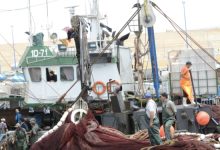 صورة تراجع في منتجات الصيد الساحلي والتقليدي بميناء بوجدور خلال ثلاثة أشهر الأولى من 2024 (تقرير)
