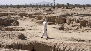 صورة 3 سيناريوهات للأضرار المالية للجفاف والفيضانات… تكلف البنوك المغربية 1050 مليار درهم