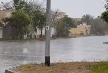 صورة هطول أمطار الخير على الإمارات (فيديو)
