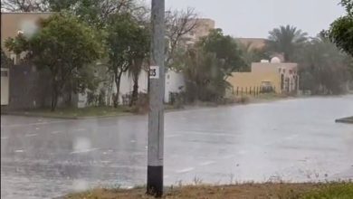 صورة هطول أمطار الخير على الإمارات (فيديو)