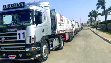 صورة دخول 12 شاحنة مساعدات إماراتية إلى غزة