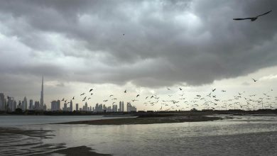 صورة طقس الإمارات غداً.. فرصة تكون سحب ركامية يصاحبها سقوط أمطار مع انخفاض في درجات الحرارة