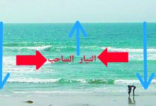 صورة تحذير من ظاهرة «التيار الساحب» على بعض الشواطئ