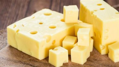 صورة ما تأثير تناول الجبن الرومي المقلي يوميا على صحة الجسم؟