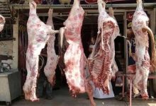 صورة ارتفاع اللحوم والفول وتراجع الدواجن بالأسواق اليوم الأربعاء (موقع رسمي)