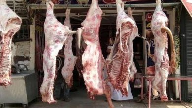 صورة ارتفاع اللحوم والفول وتراجع الدواجن بالأسواق اليوم الأربعاء (موقع رسمي)
