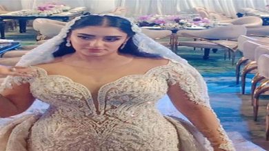 صورة الصور الأولى.. شاهد حفل زفاف ابنة الفنان مصطفى كامل