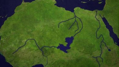 صورة علماء: ما حدث في وادي النيل وشمال أفريقيا رسالة إنذار للعالم