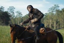 صورة “مملكة كوكب القرود” يسيطر على شباك التذاكر الأمريكي والعالمي في أول أسبوع عرض