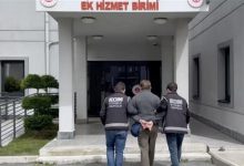 صورة متهم بتهريب عناكب ثمينة.. إطلاق سراح أمريكي في تركيا