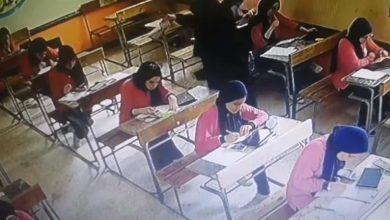 صورة جدعنة الست المصرية من سيدة القطار لمعلمة كفر الشيخ.. في الشدة بيسندوا (فيديو)