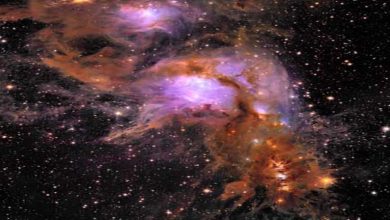 صورة 5 صور إعجازية.. تلسكوب إقليدس يلتقط مشاهد النجوم اليتيمة والمادة المظلمة