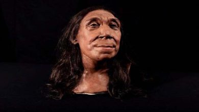 صورة صورة بتفاصيل مذهلة.. هذه المرأة عاشت في العراق قبل 75 ألف سنة