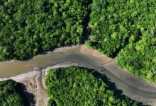 صورة البرازيل واليابان تتفقان على حماية غابات الأمازون المطيرة تعزيز ا لجهود مكافحة تغير المناخ