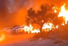 صورة مستعمرون يحرقون أراضي زراعية و”مشطب” مركبات في يتما جنوب نابلس