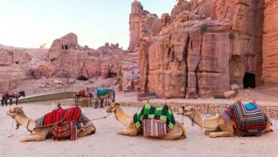 صورة 2.1 مليار دولار اجمالي الدخل السياحي في الأردن خلال أربعة أشهر