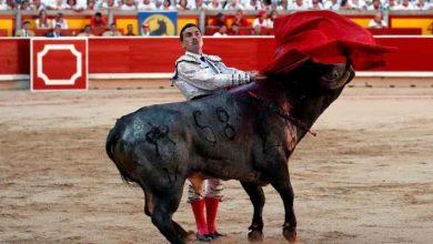 صورة قرار يهدد مستقبل مصارعة الثيران بعد قرون من التقديس في إسبانيا