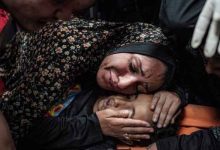 صورة عائلات غزاوية كاملة محاها الاحتلال في عدوان الإبادة الجماعية