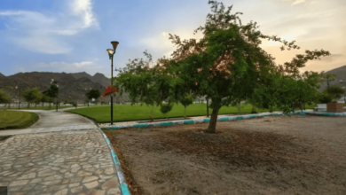 صورة متنزه الأمير جلوي بنجران.. وجهة مفضلة لعشاق الاستمتاع بالطبيعة