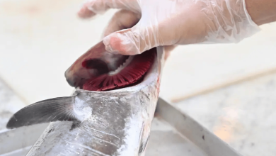 صورة «بيئة جازان» تنفذ 3228 جولة رقابية على أسواق الأسماك والمنتجات البحرية