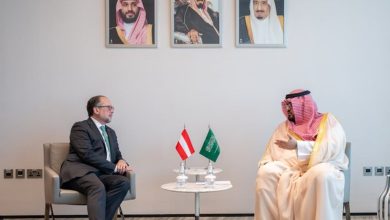 صورة  الإبراهيم يبحث مع وزير الخارجية النمساوي تعزيز التعاون المشترك