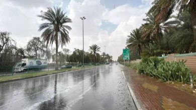 صورة حالة الطقس في المملكة.. فرص هطول الأمطار الرعدية والرياح النشطة على عدة مناطق