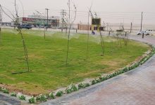 صورة أمانة الأحساء: تطوير «ميدان سلوى» وزراعة 45 ألف شتلة زهور صيفية