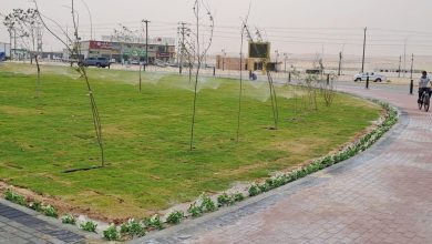 صورة أمانة الأحساء: تطوير «ميدان سلوى» وزراعة 45 ألف شتلة زهور صيفية
