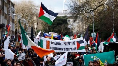 صورة “أوقفوا الإبادة”.. متظاهرون في أيرلندا يتضامنون مع غزة