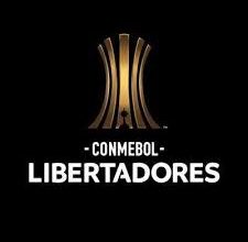 صورة كأس ليبرتادوريس المجموعة الخامسة: بوليفار في ضيافة ميلوناريوس
