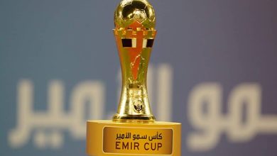 صورة كأس أمير قطر: الريان يودع المسابقة