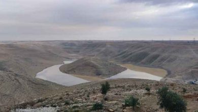 صورة وزارة المياه: ارتفاع كمية التخزين الكلي في سدود الأردن الرئيسية
