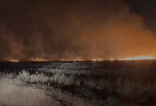 صورة مراسل رؤيا: حريق ضخم يندلع بمساحات كبيرة من أراض بالمفرق