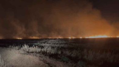صورة مراسل رؤيا: حريق ضخم يندلع بمساحات كبيرة من أراض بالمفرق