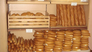 صورة لقجع ينفي حدوث زيادة في سعر الخبز بعد زيادة 10 دراهم في البوطا