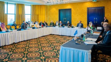 صورة وزير الخارجية يشارك في الاجتماع الثاني لمجموعة العمل الوزارية العربية بشأن دعم جمهورية الصومال الفيدرالية
